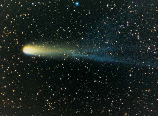 Halley's Comet